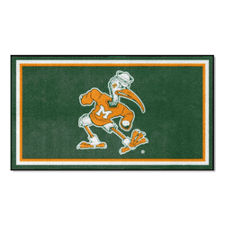 Miami Hurricanes 3ft. x 5ft. Plush Area Rug, Sebastian the Ibis