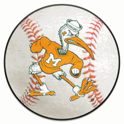 Miami Hurricanes Baseball Rug - 27in. Diameter, Sebastian the Ibis
