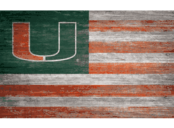 Miami Hurricanes Distressed Flag 11x19