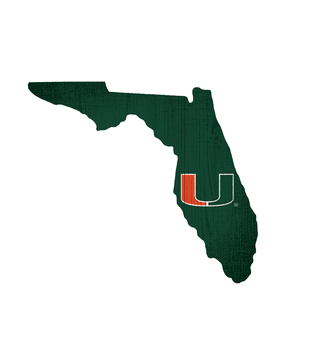 Miami Hurricanes Team Color Logo State Sign