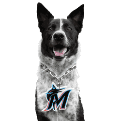 Miami Marlins Pet Fan Chain