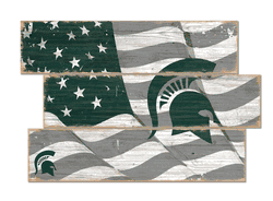 Michigan State Spartans American Flag 3 Plank
