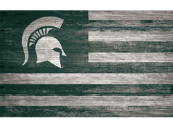 Michigan State Spartans Distressed Flag 11x19