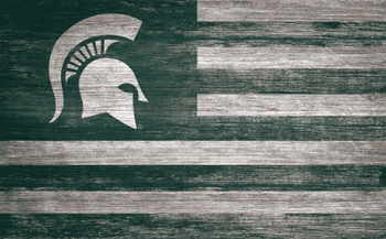 Michigan State Spartans Distressed Flag 11x19