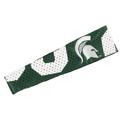 Michigan State Spartans FanBand