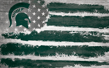 Michigan State Spartans Flag 11x19