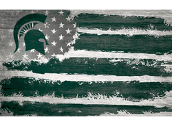 Michigan State Spartans Flag 11x19