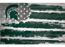 Michigan State Spartans Flag 17x26