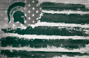 Michigan State Spartans Flag 17x26