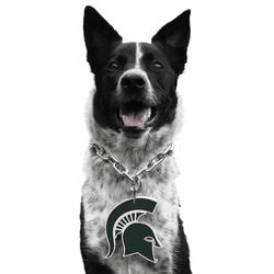 Michigan State Spartans Pet Fan Chain