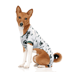 Michigan State Spartans Pet PJs Extra Small