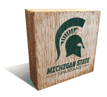 Michigan State Spartans Team Logo Block 6X6
