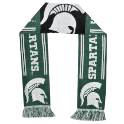 Michigan State Spartans Team Stripe Scarf