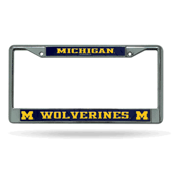 Michigan Wolverines  12