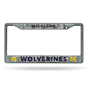 Michigan Wolverines  12