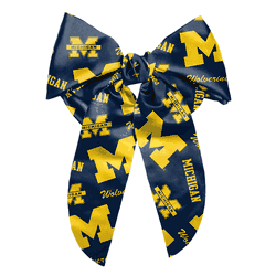 Michigan Wolverines Big Bow