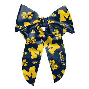 Michigan Wolverines Big Bow