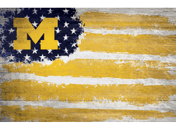 Michigan Wolverines Flag 17x26