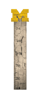 Michigan Wolverines Growth Chart Sign 6x36