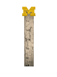 Michigan Wolverines Growth Chart Sign 6x36