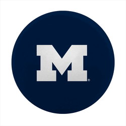 Michigan Wolverines High Bounce Ball