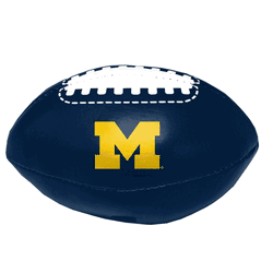 Michigan Wolverines Micro Soft Football