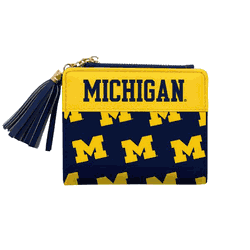 Michigan Wolverines Mini Organizer