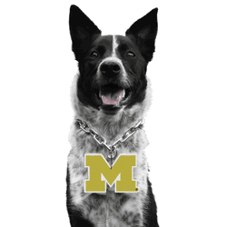 Michigan Wolverines Pet Fan Chain