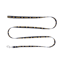Michigan Wolverines Pet Team Lead .375 x 60
