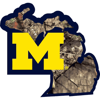 Michigan Wolverines State Decal w/Mossy Oak Camo