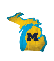 Michigan Wolverines Team Color Logo State Sign
