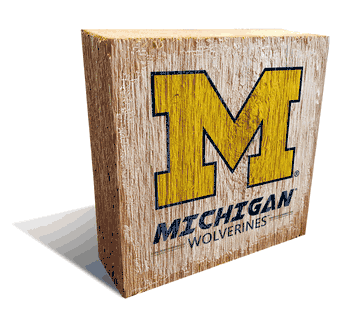 Michigan Wolverines Team Logo Block 6X6