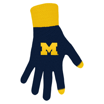 Michigan Wolverines Waffle Knit Glove
