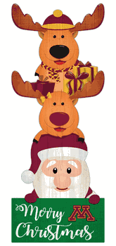 Minnesota Golden Gophers 31