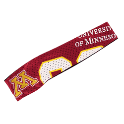 Minnesota Golden Gophers FanBand