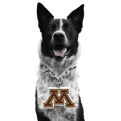 Minnesota Golden Gophers Pet Fan Chain