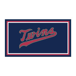 Minnesota Twins 3ft. x 5ft. Plush Area Rug