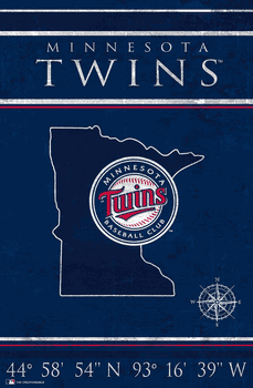 Minnesota Twins Coordinates 17x26
