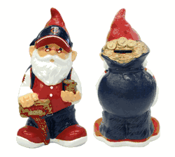 Minnesota Twins Garden Gnome - Coin Bank CO