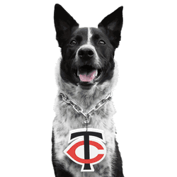Minnesota Twins Pet Fan Chain