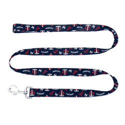 Minnesota Twins Pet Team Lead  - Medium