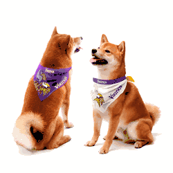 Minnesota Vikings Home and Away Pet Bandana Set Large