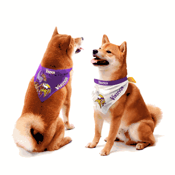 Minnesota Vikings Home and Away Pet Bandana Set Small