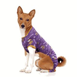 Minnesota Vikings Pet PJs Small