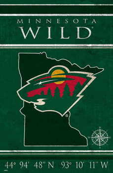 Minnesota Wild Coordinates 17x26