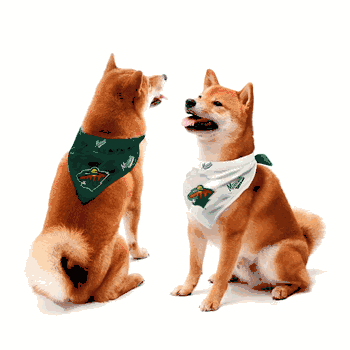 Minnesota Wild Home and Away Pet Bandana Set Small