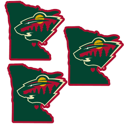 Minnesota Wild Home State Decal, 3pk
