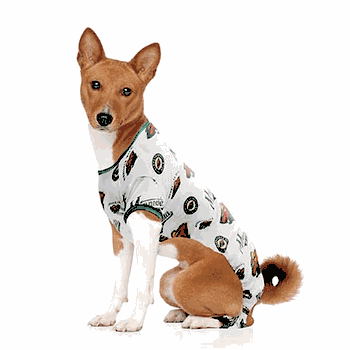 Minnesota Wild Pet PJs Extra Small