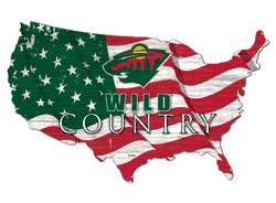 Minnesota Wild USA Shape Flag Cutout