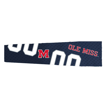 Mississippi Rebels FanBand